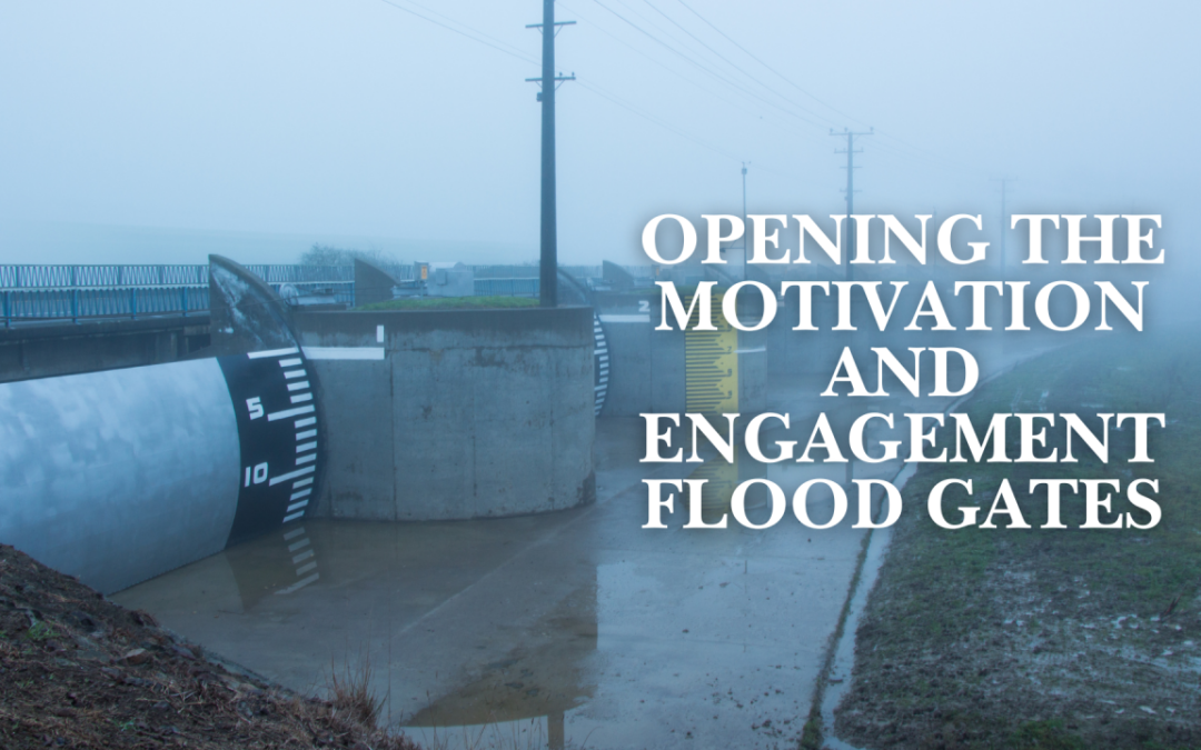 Opening the Motivation and Engagement Flood Gates